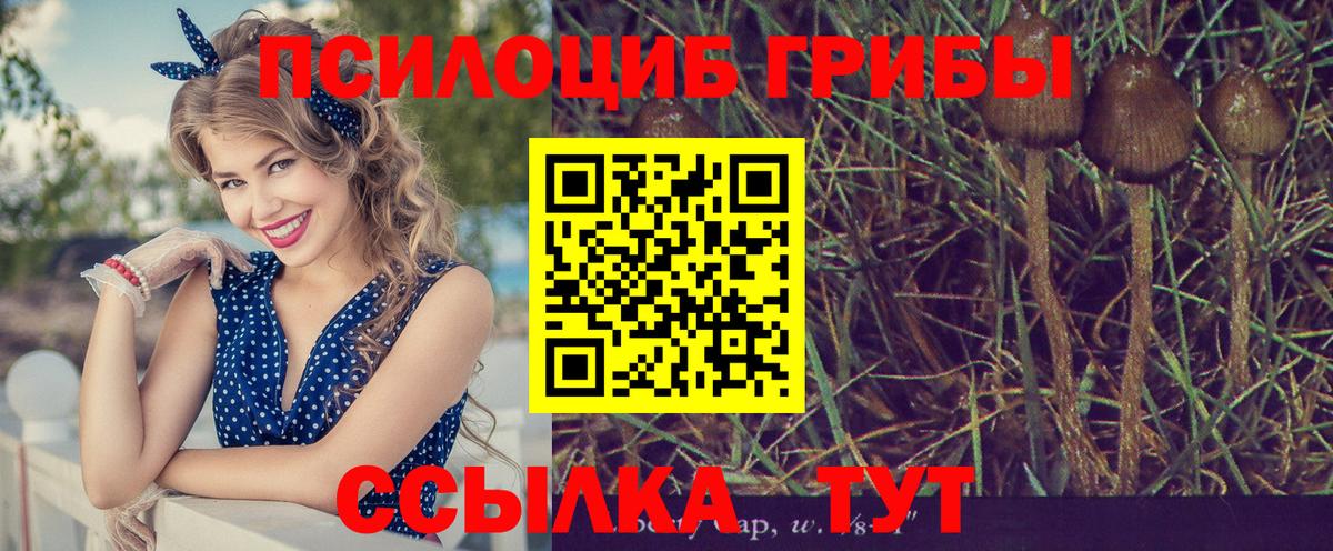 Метадон Ухта